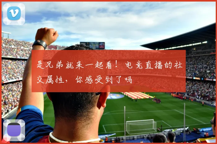 是兄弟就来一起看！电竞直播的社交属性，你感受到了吗