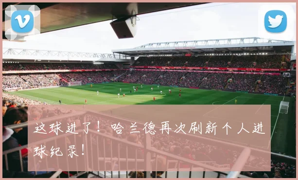 这球进了！哈兰德再次刷新个人进球纪录！