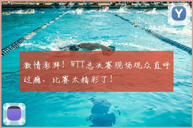激情澎湃！WTT总决赛现场观众直呼过瘾，比赛太精彩了！