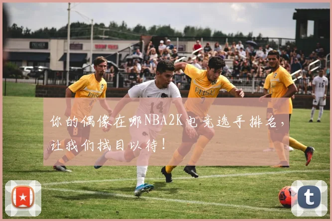 你的偶像在哪NBA2K电竞选手排名,让我们拭目以待!